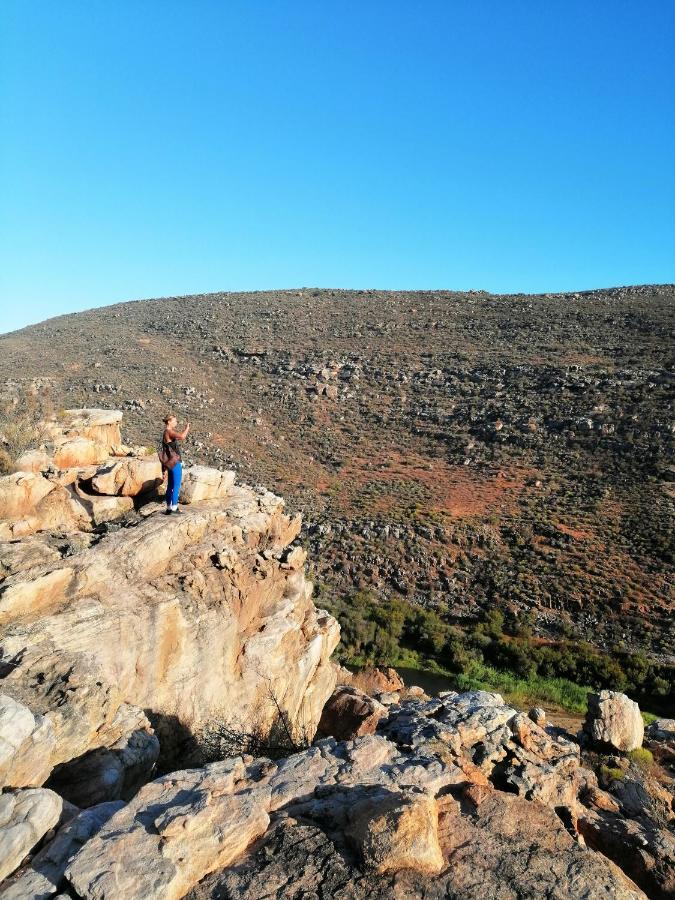 Villa Oudrif Farm Clanwilliam Exterior foto