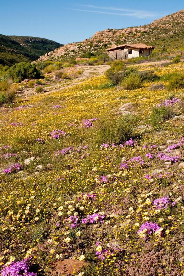 Villa Oudrif Farm Clanwilliam Exterior foto