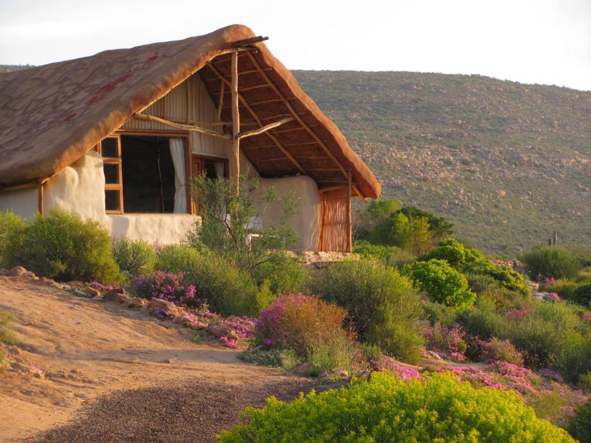 Villa Oudrif Farm Clanwilliam Exterior foto