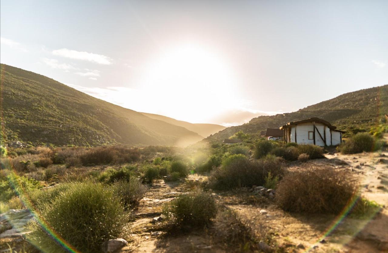 Villa Oudrif Farm Clanwilliam Exterior foto