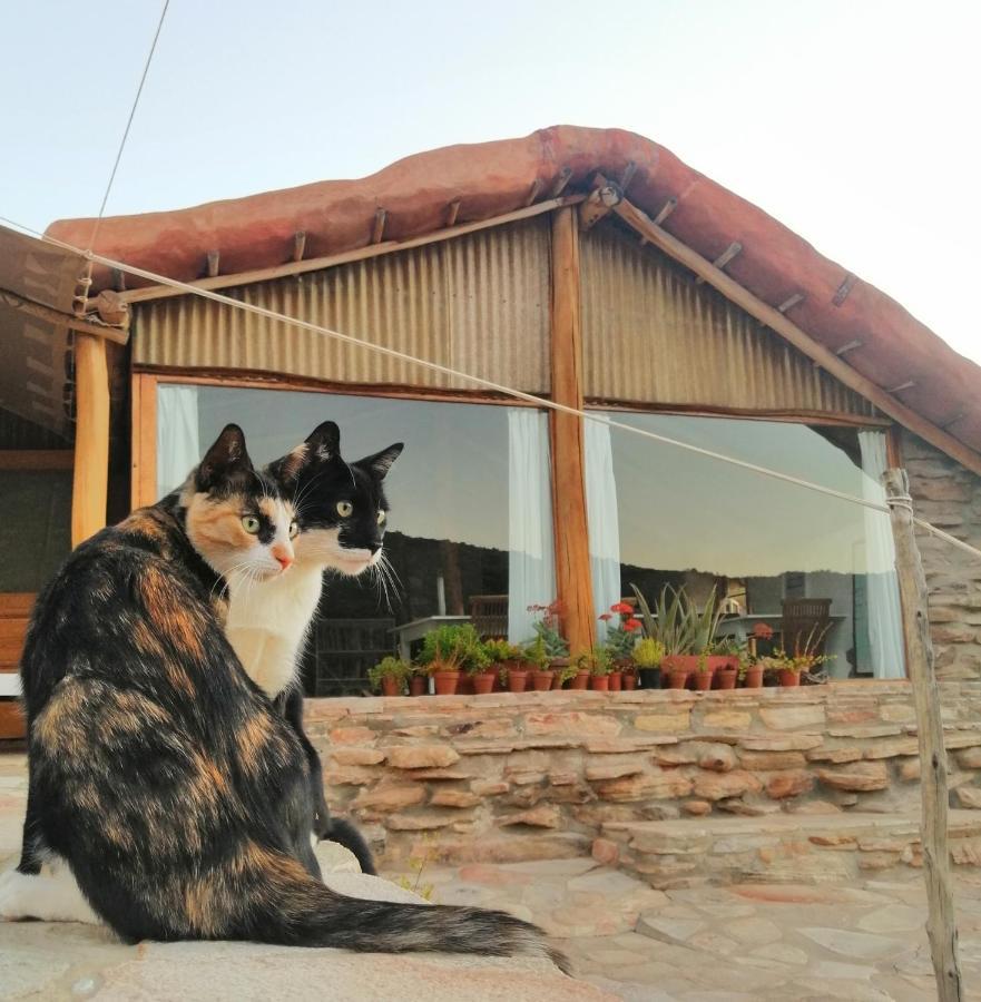 Villa Oudrif Farm Clanwilliam Exterior foto